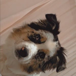 Meet your Posher, Jolee